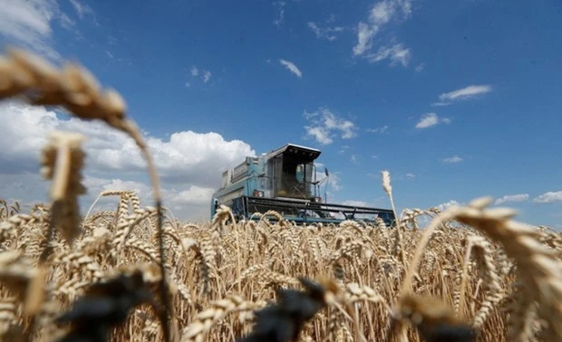 Forum mondial pour l’alimentation et l’agriculture: mettre fin à la faim…