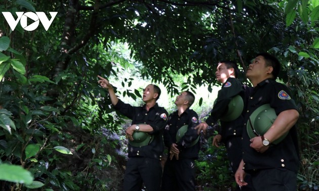 Le Vietnam gagne 51,5 millions de dollars grâce à la vente de crédits de carbone forestier