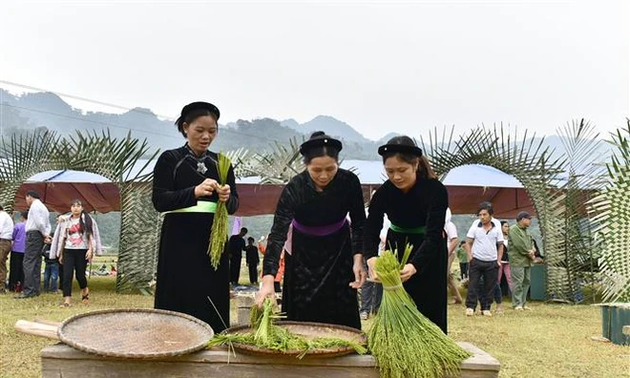 La fête du côm, une tradition originale des Tày de Tuyên Quang