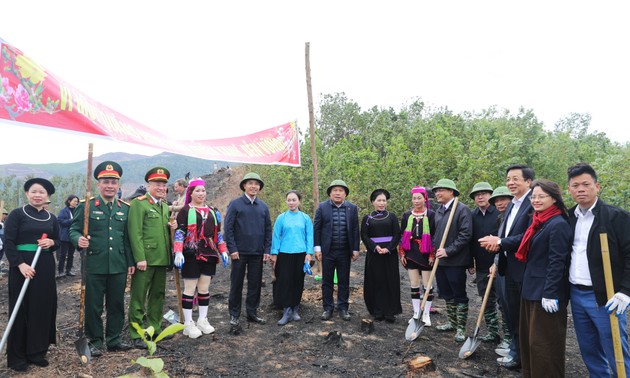Les localités vietnamiennes lancent un vaste programme de reforestation