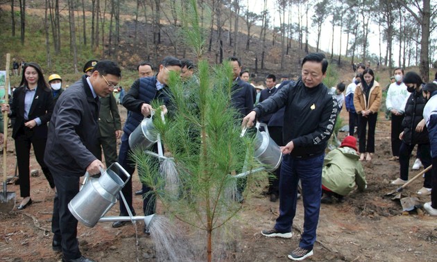 Lancement de la campagne de plantation d’arbres à Uông Bi