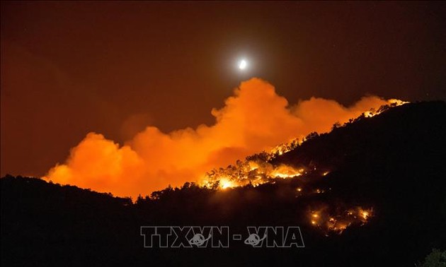 Europe: canicule et recrudescence des incendies de forêt