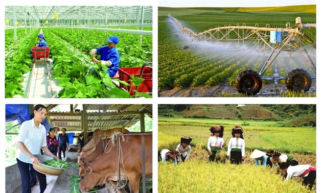 D’ici 2030, plusieurs entreprises agricoles vietnamiennes devraient être au premier plan régional et mondial