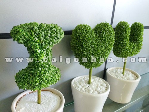 Тенденции в дизайне декоративных вазонов среди вьетнамской молодежи