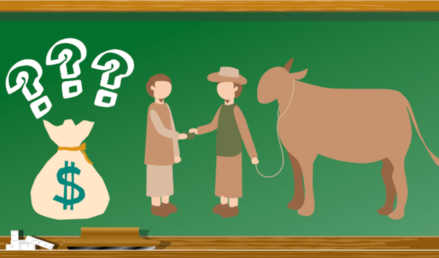 Bài toán mua bán bò khiến cộng đồng mạng tranh cãi