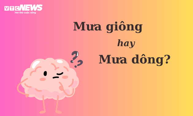 90% người nhầm lẫn: 'Mưa giông' hay 'mưa dông'?