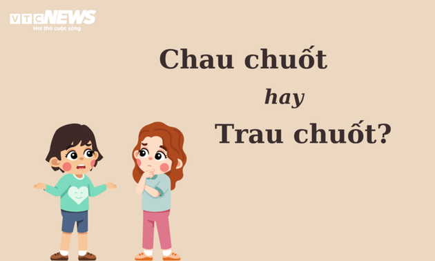 “Chau chuốt” hay “trau chuốt” mới đúng chính tả?