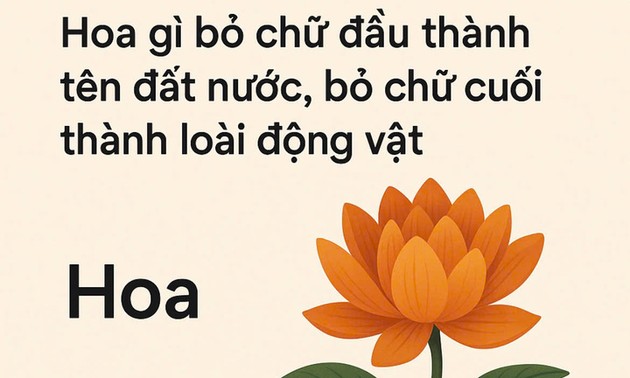 Hoa gì bỏ chữ đầu thành tên đất nước, bỏ chữ cuối thành tên loài động vật?