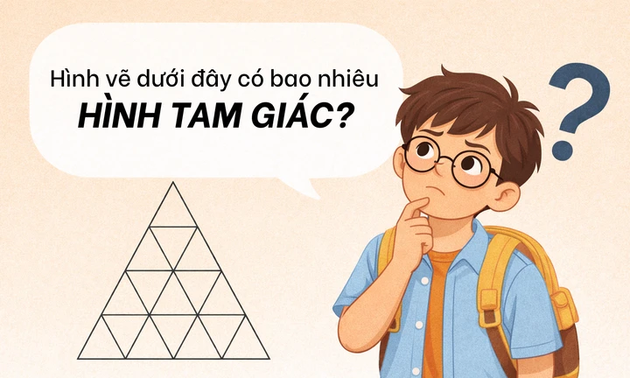 Bài toán đếm hình tiểu học nhưng nhiều người lớn trả lời sai