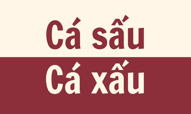 "Cá sấu" hay "cá xấu", đâu mới là cách viết đúng chính tả?