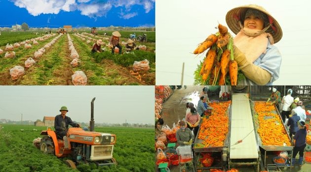 Promouvoir l’économie circulaire dans le secteur agricole