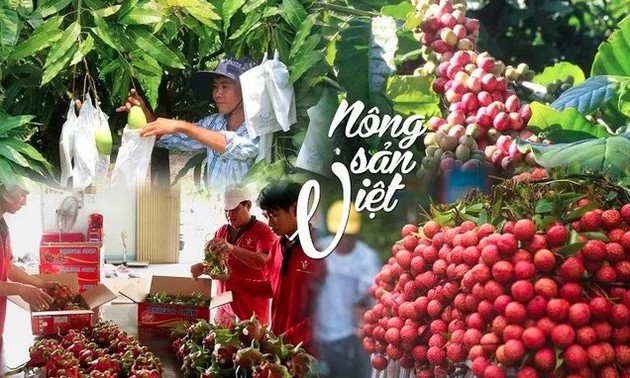 Les producteurs agricoles vietnamiens s’adaptent aux normes européennes