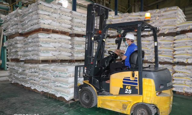 Le Vietnam reste le premier exportateur de riz vers les Philippines