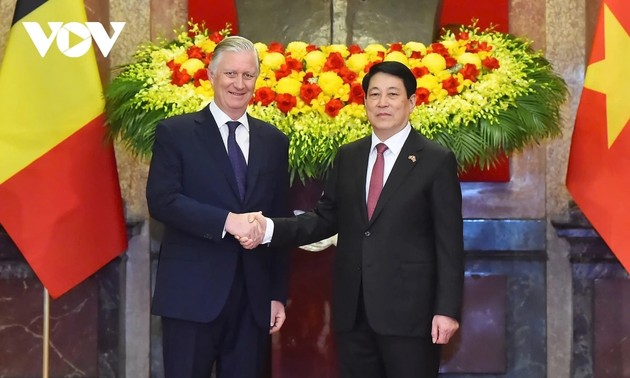 Le président Luong Cuong accueille le roi des Belges