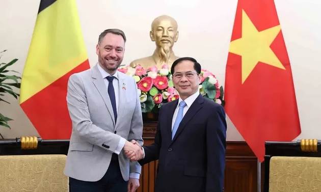 Vietnam-Belgique: renforcement des liens bilatéraux