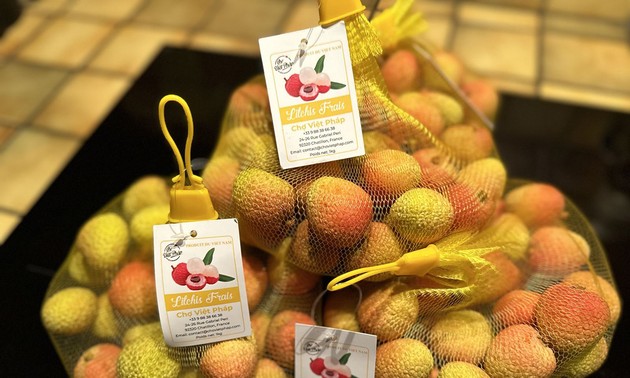 Les litchis du Vietnam débarquent en France