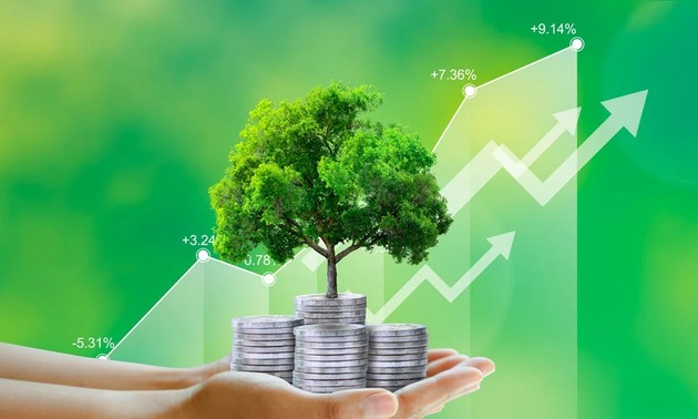 Vers un Vietnam vert: l’ambition d’un nouveau cycle de croissance