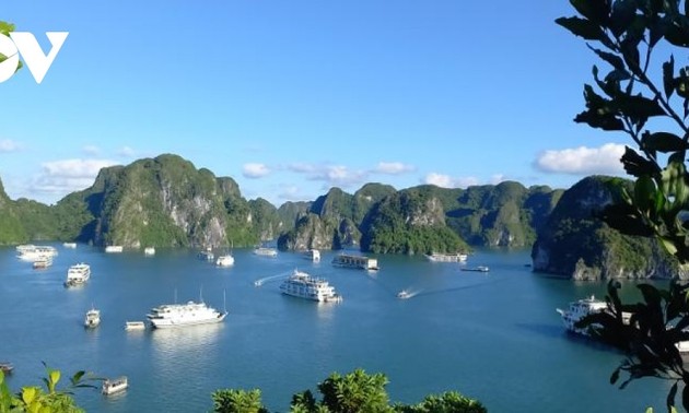 Starlink installera 10 émetteurs en baie d’Ha Long