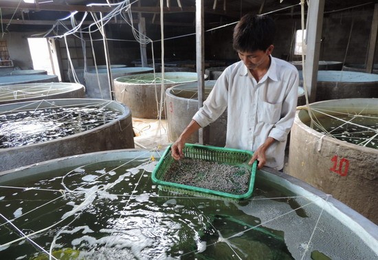 Применение технологий в сочетании с развитием экономики сельских и горных районов