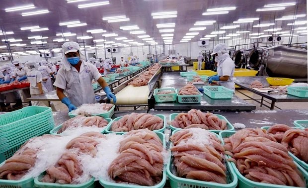 Новый рассказ о вьетнамской бесчешуйчатой рыбе