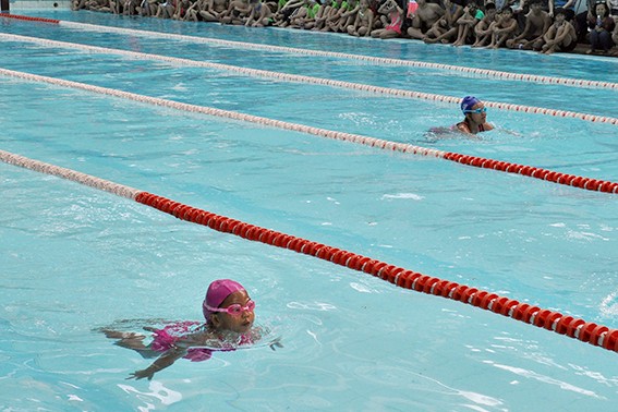 Natation : 39 médailles d’or pour le Vietnam