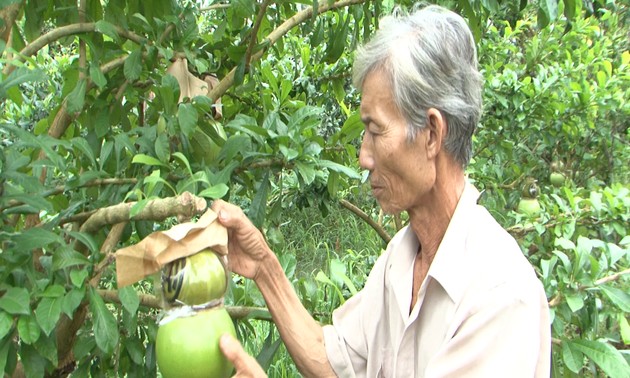 Des fruits «stylisés», pourquoi pas?