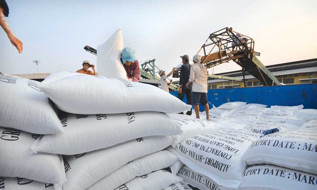 Le Vietnam continue de vendre 1,5 million de tonnes de riz par an aux Philippines