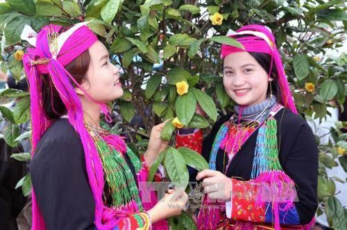 Festival des camélias dorés de Quang Ninh