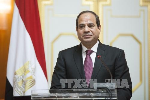 Elections présidentielles en Egypte: le soutien affirmé à Abdel Fattah al-Sissi 