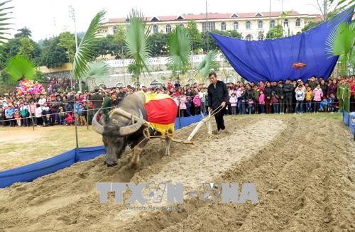 Tuyen Quang: fête de descente au champ