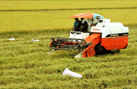 Développer l’agriculture high-tech