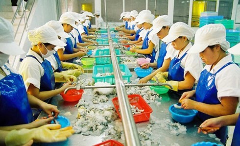 Carton jaune sur les produits de la pêche : Une équipe de la CE au Vietnam 