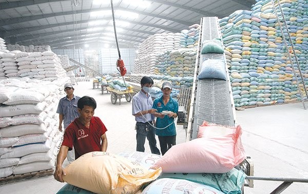 Riz : les exportations vietnamiennes vers la Malaisie ont connu une forte hausse