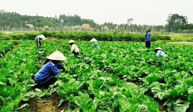 Les produits du terroir favorisent le développement économique local