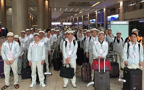 Plus de 140.000 Vietnamiens sont partis travailler à l’étranger en 2018