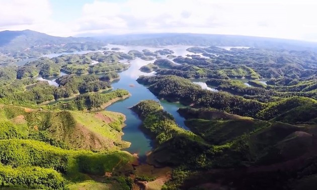 Le Vietnam participe à la Journée internationale de l’environnement