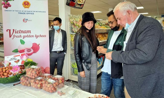 Promouvoir les litchis vietnamiens aux Pays-Bas