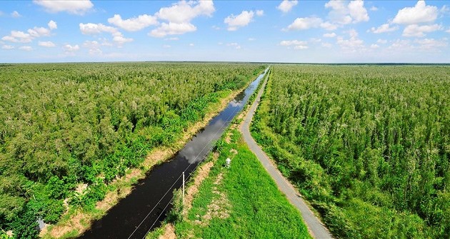 Le Vietnam développe son marché du carbone