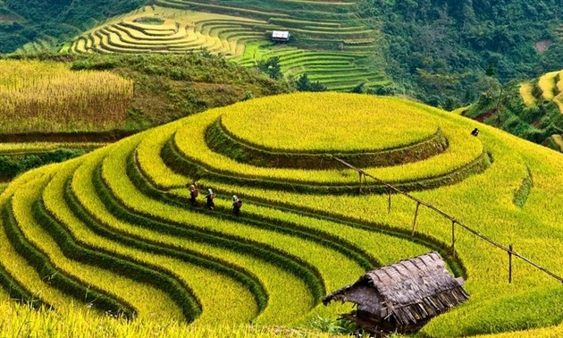 Baie d’Ha Long et Mu Cang Chai parmi les destinations les plus colorées du monde