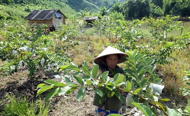 Une conférence sur la réduction de la pauvreté au Vietnam