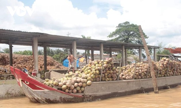 Nông dân Bến Tre chú trọng xây dựng, hoàn thiện chuỗi giá trị nông sản