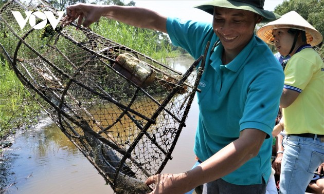 Nông dân Cà Mau làm du lịch sinh thái 