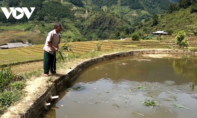 Những “hạt nhân” gây dựng tình đoàn kết ở thôn, bản vùng cao Yên Bái