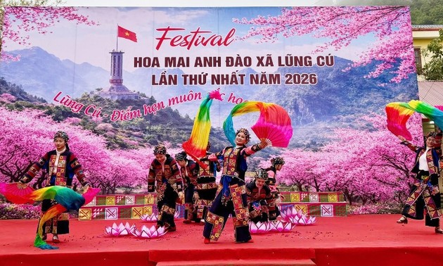 Khai mạc Festival hoa mai anh đào lần thứ nhất 
