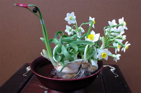 ดอกไม้แห่งความโชคดีคนเวียดนามใช้ตกแต่งในบ้านช่วงตรุษเต๊ตตามประเพณี (บทที่ 2)