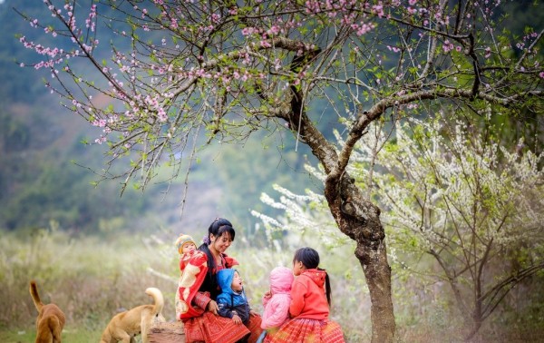 วสันตฤดูเวียนมาในเขตเขา