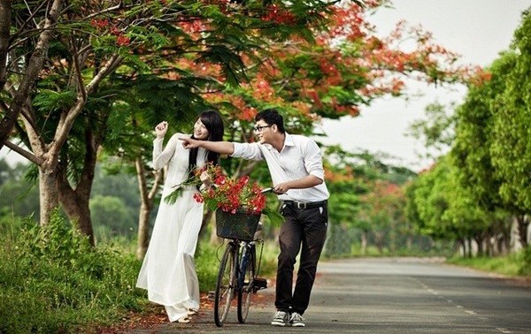 ดอกหางนกยูงกับความรักในวัยใส