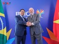 El Primer Ministro de Vietmam se reúne con el Presidente de Brasil