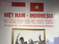 Vietnam-Indonesia: 70 Tahun Kerja Sama dan Perkembangan