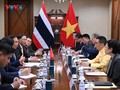 Vietnam ist bereit, Thailand und Kambodscha bei der Umsetzung des Waffenstillstands zu unterstützen